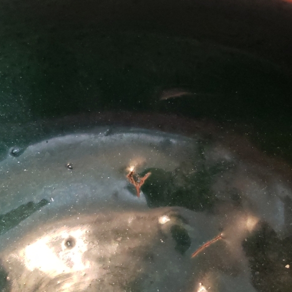 Leopaldo de Mexico pottery vase - Picture 5 of 5